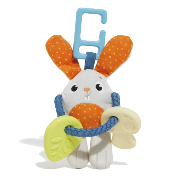 Bibianna the Bunny