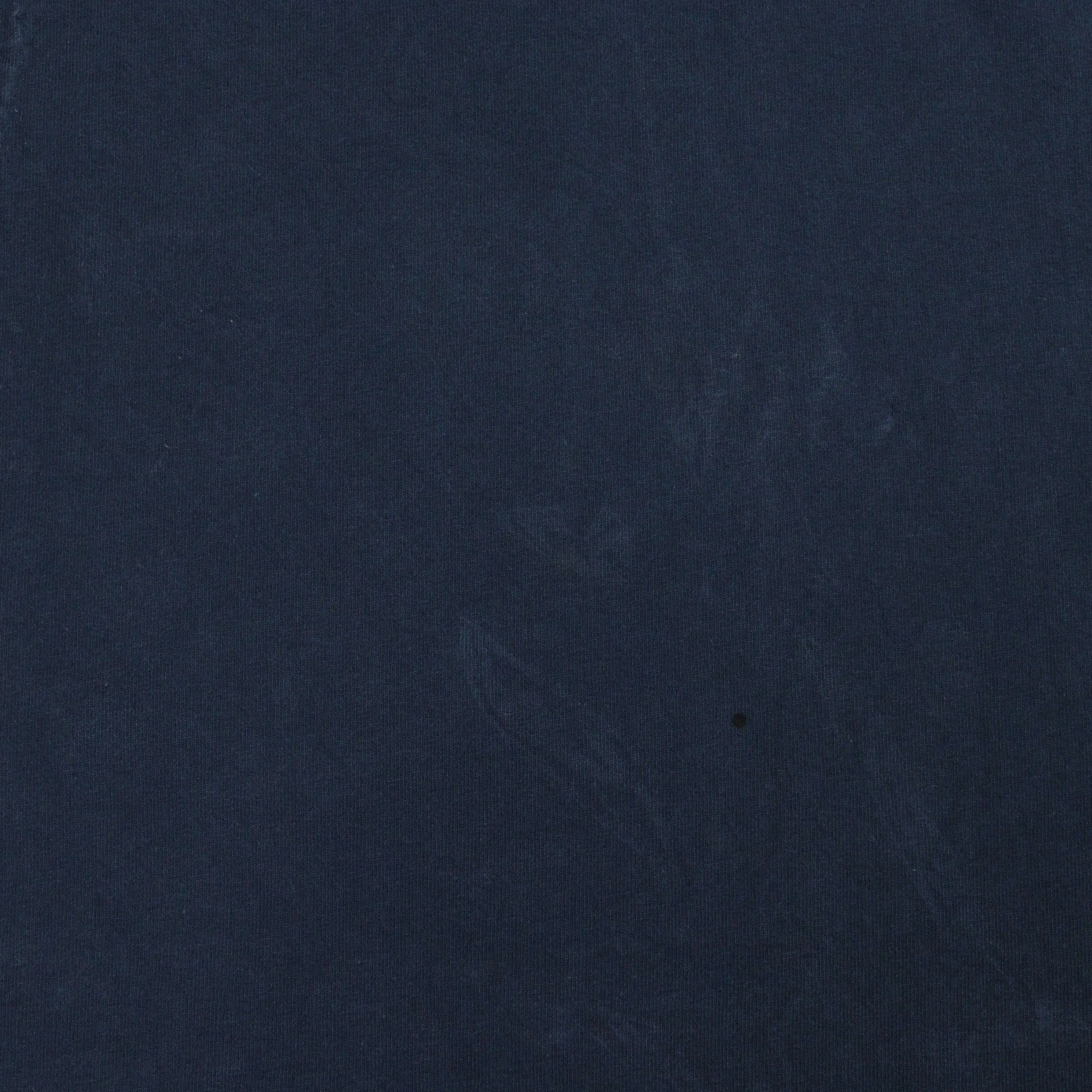 Carhartt Blue T-shirt