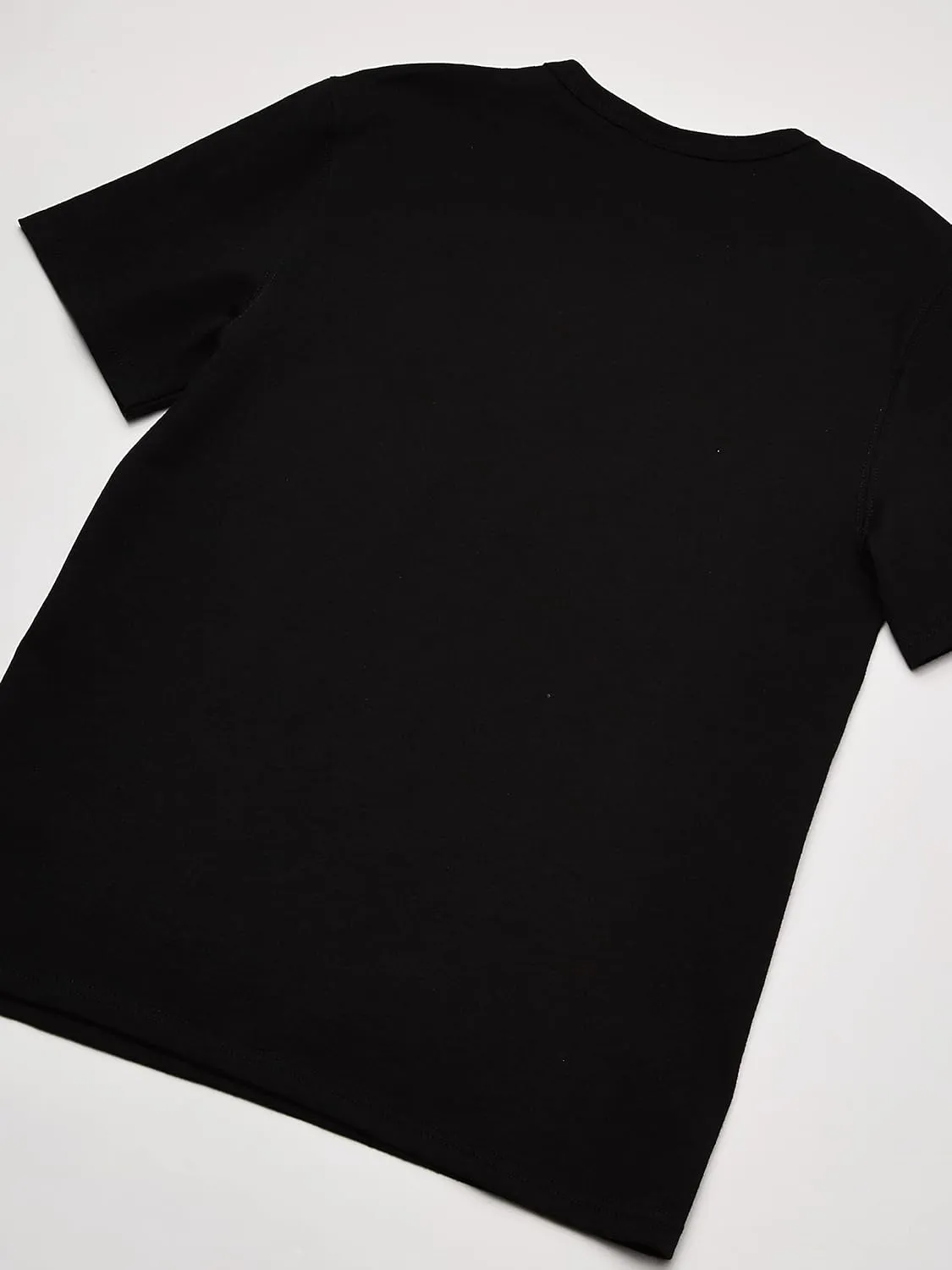 Champion Men's Heritage Tee, Big C Logo