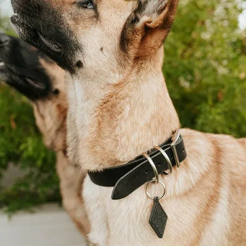Leather Dog Collar Classic