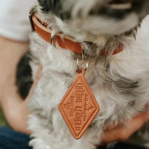 Leather Dog Collar Classic