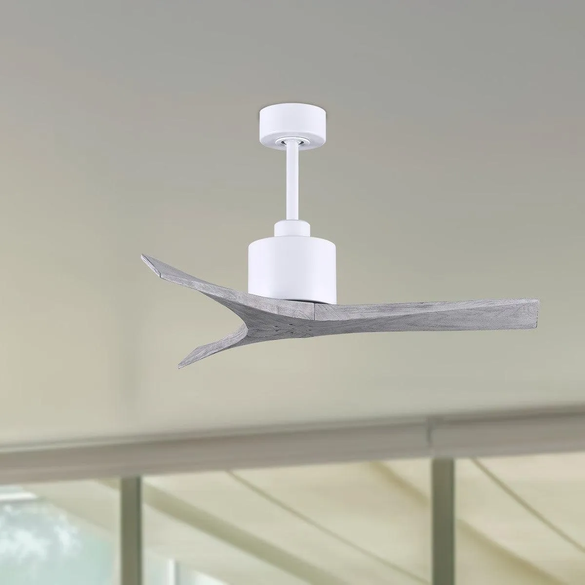 Mollywood 42 Inch White and Barnwood Damp Rated Ceiling Fan with Remote