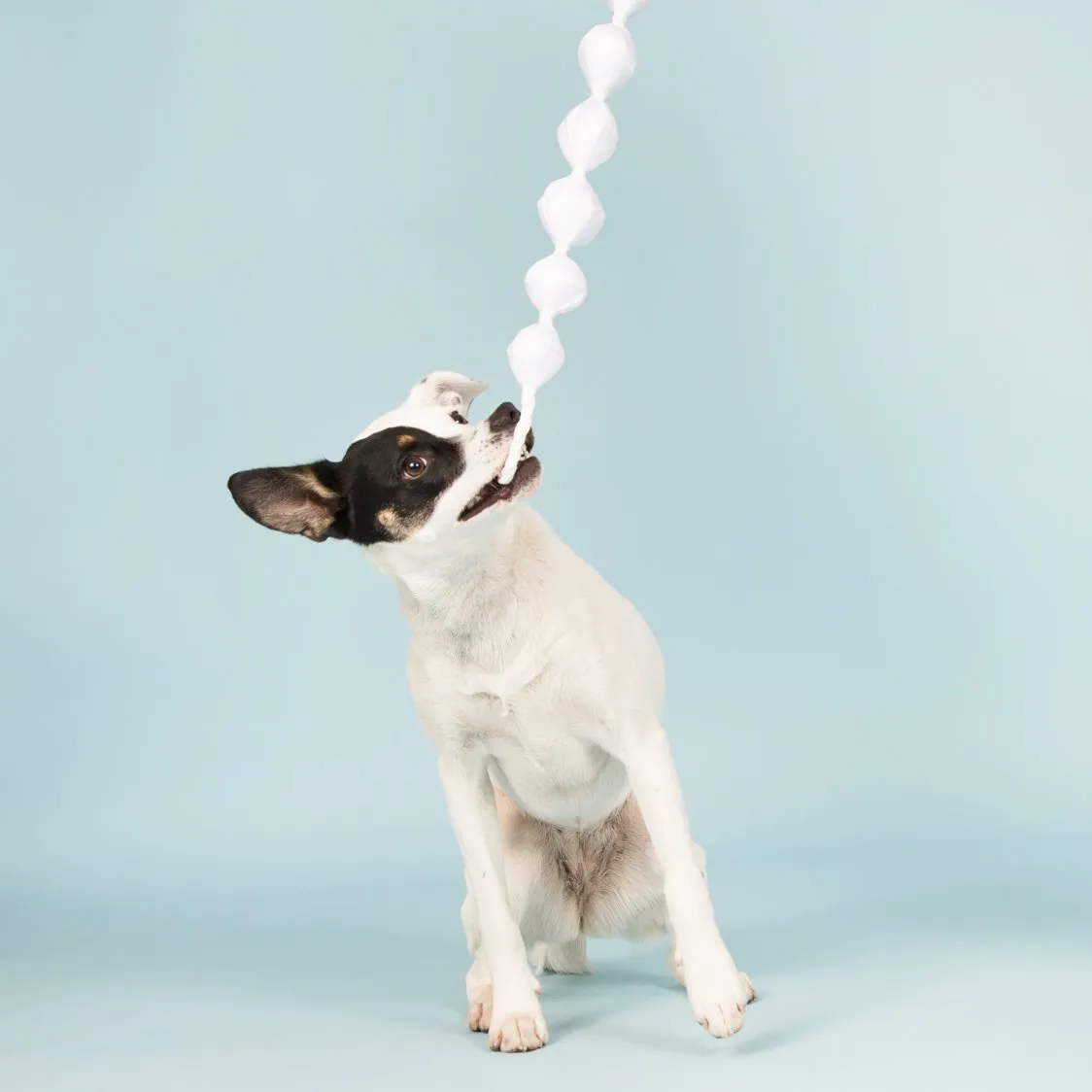 Pretty in Squeak Necklace