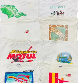 Single stitch printed t shirts 24 pcs