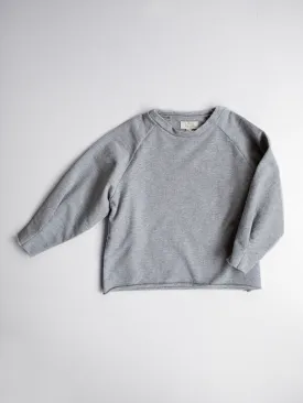 The Sweatshirt