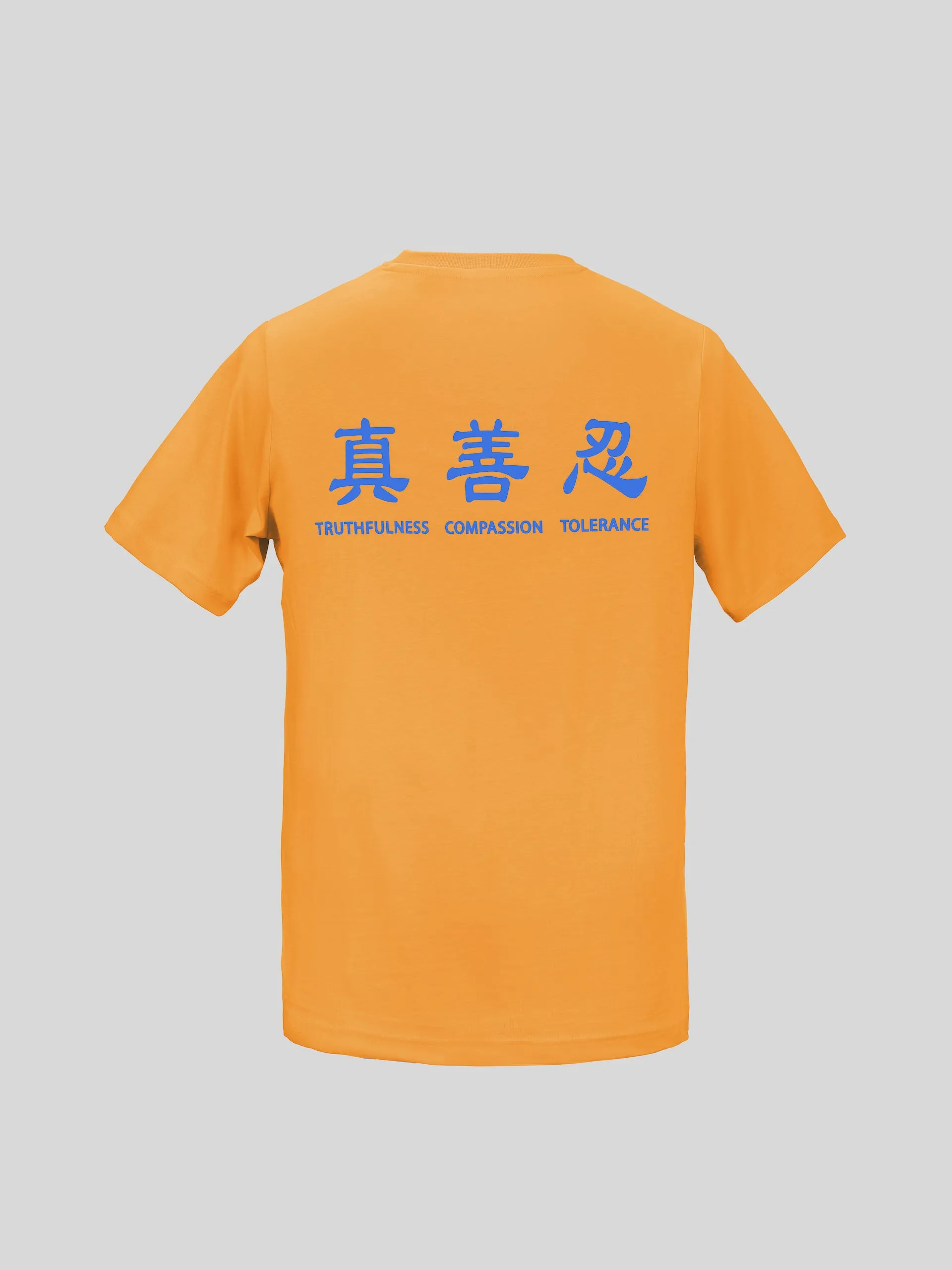 Truthfulness, Compassion, Tolerance T-Shirt 2021